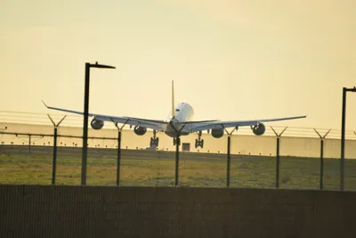 DSC_5756 (Large).JPG